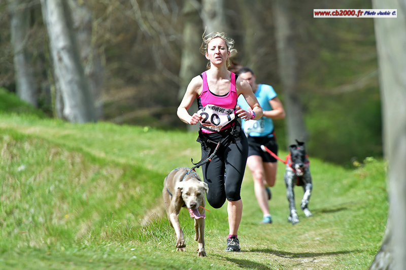 170417-cani_arques-_098