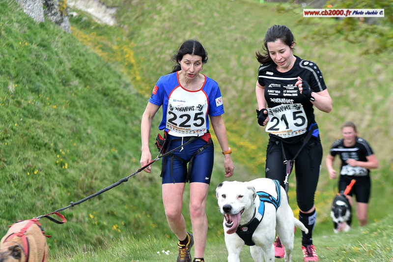 170417-cani_arques-_114